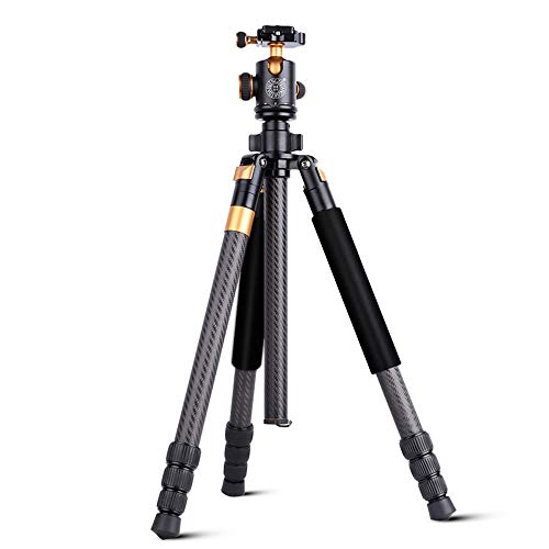PQXOER Kamera Stativ Kamera tragbares Stativ Kohlefaser Stativ Kugelkopf und Ersatz 1/4"Schnellwechselplatte für die Reise für DSLR Canon Nikon Sony Kamera schwarz (Q968C) Dreibein-Stative