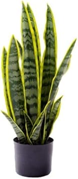 Artificial Sansevieria Snake Plant / Mother-in-laws Tongue - 57cm Tall