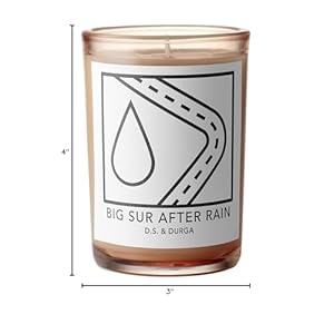 DS Durga Big Sur After Rain Candle 7 oz