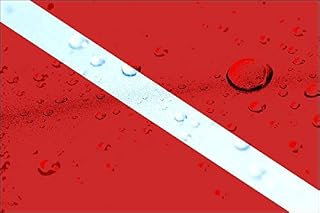 Magnet Wet Look Scuba Dive Flag Magnetic Sticker (Diving Diver Decal)