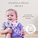 Dodo Babies Baby Bandana Drool Bibs For Girls + 2 Pacifier Clips + Pacifier Case in a Gift Bag, Pack of 4 Premium Quality, Excellent Baby Shower/Registry Gift