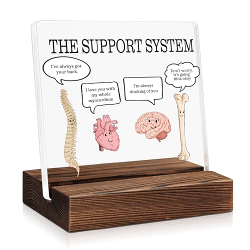 Mhfpl The Support System Funny Acrylic Plaque Sign with Wooden Stand, Cute Organ Acrylic Home and Office Decor Gifts for Doctor, Christmas Birthday Gifts for Nurse Medical Worker Health Care Worker
