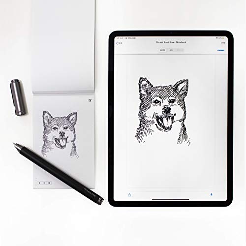 Livescribe Symphony Smartpen Digital Pen – Compatible With Ios, Android, Smartphones, Tablets (Latest Version) #TOP5