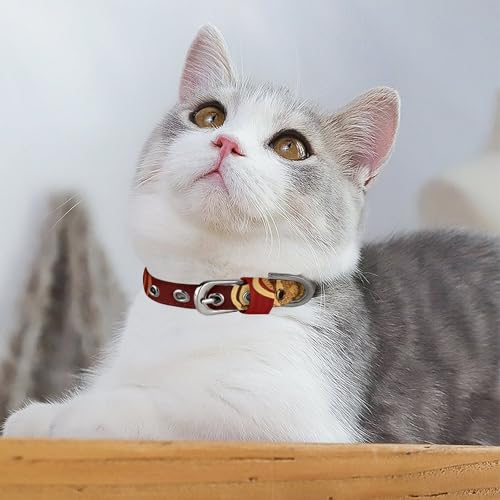 Collier chien Coeurs de Saint-Valentin réglable en taille S M avec boucle métal