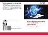 Burbujas especulativas en el mercado de las criptodivisas: ¨El precio es lo que pagas, el valor es lo que obtienes¨ Warren Buffet