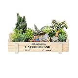 ✿ DECORACIÓN PERFECTA: Este tipo de maceta no solo puede cultivar suculentas sino también almacenar objetos pequeños. Se puede utilizar como una elegante caja de jardinería en la sala de estar. Debido a su conveniente tamaño, puede combinarse bien en varias escenas sin importar dónde se encuentre.