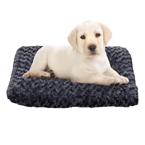 Cuccia indistruttibile per cani, rimovibile, impermeabile, lavabile, comoda cuccia antiscivolo per cani di taglia media, tappetino per gatti, cuccioli e cani anziani
