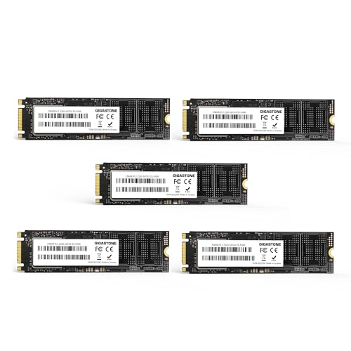 Gigastone M.2 SSD 256GB 5Pack SATA III 520MB/s Upgrade Laptop PC Memory and Storage M.2 2280 Internal Solid State Hard Drives SLC Cache 3D NAND Increase Performance