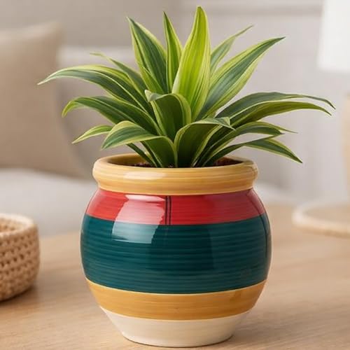 Image of Niyara Ceramic planters pots for Indoor Outdoor Home, Garden Office Decor Balcony Planters Gamla Flower Size Small 6 inches (Wild Flower)