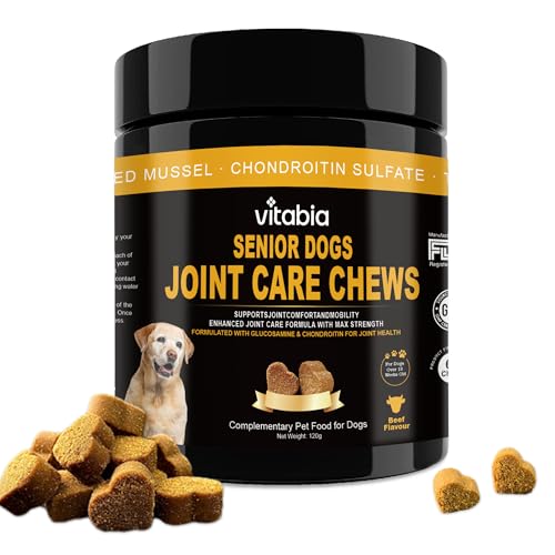 Senior Dog Joint Supplements with Glucosamine Chondroitin MSM - Hip & Joint Support for Dogs with Green Lipped Mussel, Turmeric, Omega 3 for Mobility & Comfort - Beef Flavour Dog Supplements