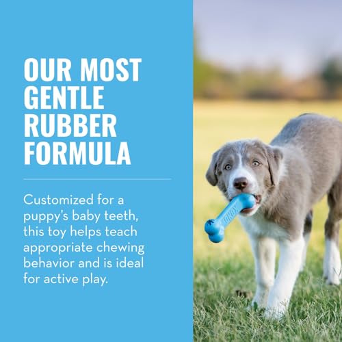 Luposan 5042539 Goodie Bone Puppy, S