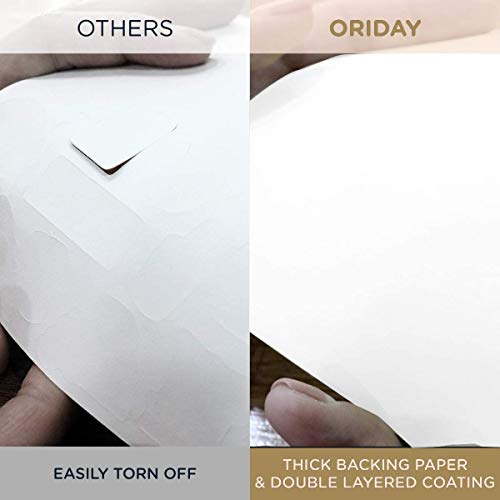 Oriday Health & Wellness, Workout - Set of 366 Stickers, 6 Sheets, Fitness Theme for Moms, Students, Monthly, Weekly & Daily Planner, Calendar, Habit Tracker, Journal or Sticker Book, 11x 17cm