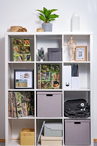 HERMA Ordner A4 Waldtiere, 7cm breit, Kinder Ringordner mit Tier Motiv, bunter Aktenordner mit Innendruck für Jungen und Mädchen