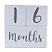 Baby Milestone Blocks | Pregnancy Baby Newborn Toddler Weekly Monthly Yearly Age | Premium Solid Wood Boys Girls Photo Props | Perfect Baby Shower Gift | Gender Neutral Keepsake for Photo Sharing