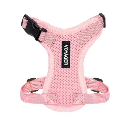 11 Best Cat Harnesses for Comfortable and Secure Walks