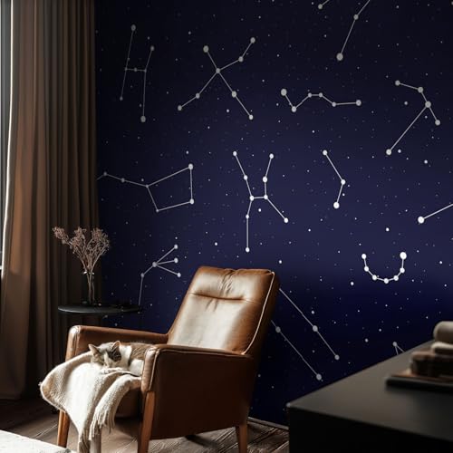Mural pasillo Astro Sky 152x104 cm para proteger paredes de roces 3