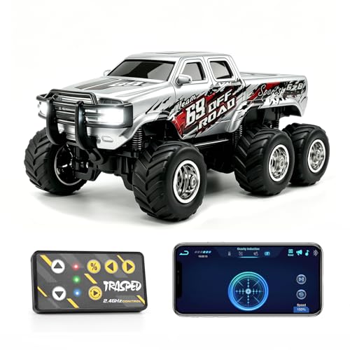 haomsj 1/64 Mini RC Truck, Gray - Image 2