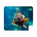 Small Tropical Fish Marine Organism Cleaning Cloth Screen Cleaner 2pcs Suede Fabric