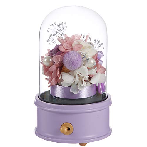 ANLUNOB Forever Rose Regalo de cumpleaños Regalo para el día de la Madre Flor eterna Rosa - Regalo para el día de los niños Rosas Nunca marchitas - Flor preservada Hecha a Mano Rosa Cover