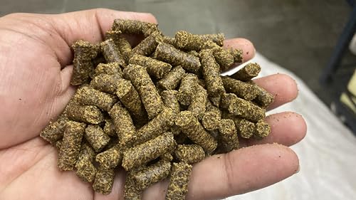 Image of WOODFRESS Wood Pressed Oil Cake Pellets, Cattle & Animal Feed, Plant Fertilizer, Food for Cow, Buffalo & Bulls (Mustard Oilcake Pellets 5Kg)