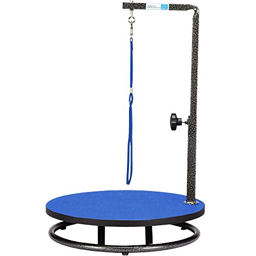 Master Equipment Small Pet Grooming Table, Blue