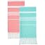 Thinner Set Aqua Coral Color