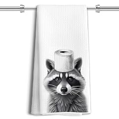 Raccoon -2