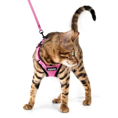 Cat Harness Escape Proof The 15 best products compared Wild Explained