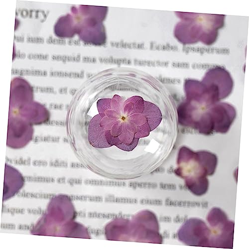 Flores secas prensadas para manualidades Levemolo 30 pcs miniatura 6