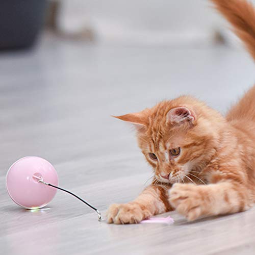 mewmewcat Bola de gato multicolorida para animais de estimação Brinquedo de carga USB Bola para anim
