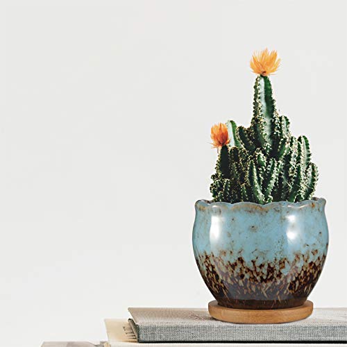 Zoutog 𝙎𝙪𝙘𝙘𝙪𝙡𝙚𝙣𝙩 𝙋𝙤𝙩𝙨, 𝙕𝙊𝙐𝙏𝙊𝙂 𝟰 𝙞𝙣𝙘𝙝 𝘾𝙤𝙡𝙤𝙧𝙛𝙪𝙡 𝘾𝙚𝙧𝙖𝙢𝙞𝙘 𝙁𝙡𝙤𝙬𝙚𝙧 𝙋𝙤𝙩𝙨, Succulent Planters With Drainage Hole And Bamboo Plant Saucers #TOP2