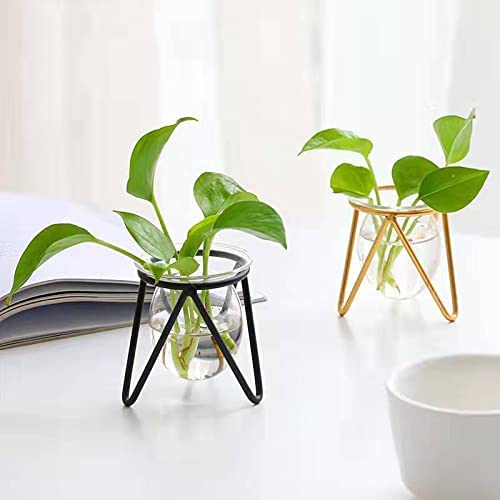 Sosfkim Plant Terrarium With Metal Stand, Desktop Air Planter Bulb Glass Vase For Indoor Live Hydroponics Plants Home Garden Office Decoration… #TOP5