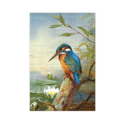 Kingfisher impression photo affiche oiseau affiche décoration murale chambre 50x75