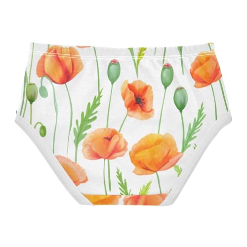 Funny Girls Underwear Toddler 2t Cotton Little Girl Panties Orange Poppy Flowers Green White Briefs Girls Undies2