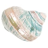 Un cadeau unique pour chaque occasion : la nature même de chaque coquillage en fait une pièce artisanale unique, idéale pour de coquillages ou comme décoration originale pour les passionnés d'aquariums, sur le thème de l'océan