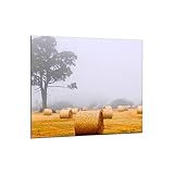 Decorwelt - Protector antiesquitxades de cristall per a cuina, 65 x 60 cm, protecció de paret, aigüera, protecció contra esquitxades de cuina, protecció de taulells, miralls, cuina, cristall