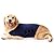 Sport Dog Anxiety Jacket, Dog Stress Relief Calming Coat Thunder Dog Wrap for Small and Large Big