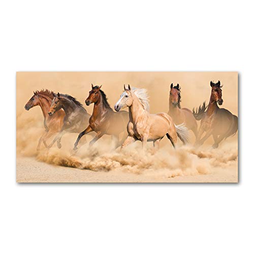Splashback guard Tulup 100x50 cm beige contre les éclaboussures de cuisine motif chevaux