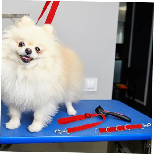 Accessoires pour chiens de toilettage avec sangles réglables robustes - 3