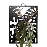 Genérico Macetero de Pared | Entrepano Metálico para Exhibir Macetas | Panel Decorativo para Plantas - para Porche Alféizar Patio Entrada Sala de Estar Interior y Exterior