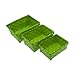 FRANDIS 192323 Juego de 3 cestas para baños Verde 20 x 14 x 8,5 cm
