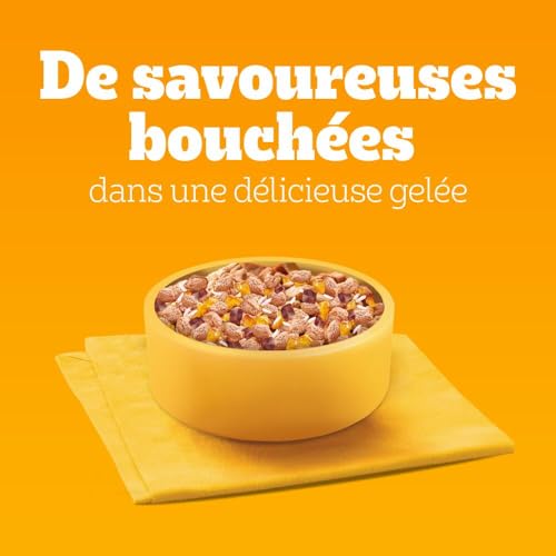 Pedigree Junior Sélection Mixte Sachets fraîcheur en gelée – Nourriture pour chien junior – 4 saveurs différentes – 48 sachets de 100 g – Image 6