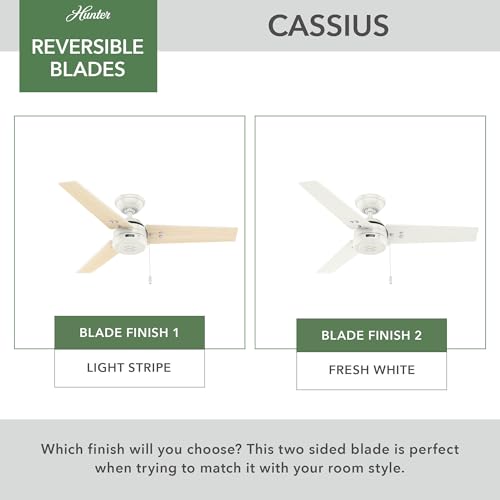 Image of Hunter Cassius, Outdoor or Indoor, Ceiling Fan, 44 inch, Fresh White