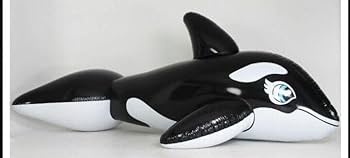 シャチフロート5m×2(専用) シャチフロート5m×2(専用) Amazon.co.jp: シャチ ブルー ツヤ