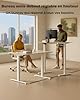 Raplink Bureau Assis Debout, Bureau Réglable en Hauteur 100 x 60 cm, Mémoire Préréglée avec 2 Hauteurs, Montage Facile, pour Bureau à Domicile, Études et Jeux, Bois Naturel