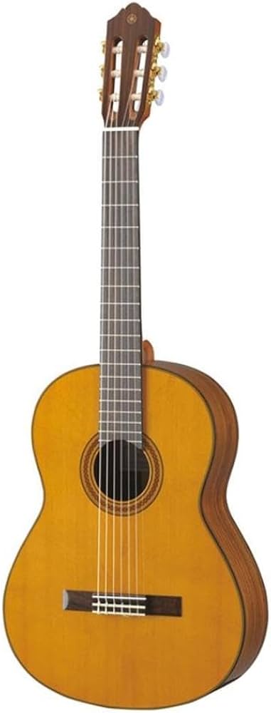 Amazon.com: Yamaha CG162C Cedar Top Classical Guitar : Musical