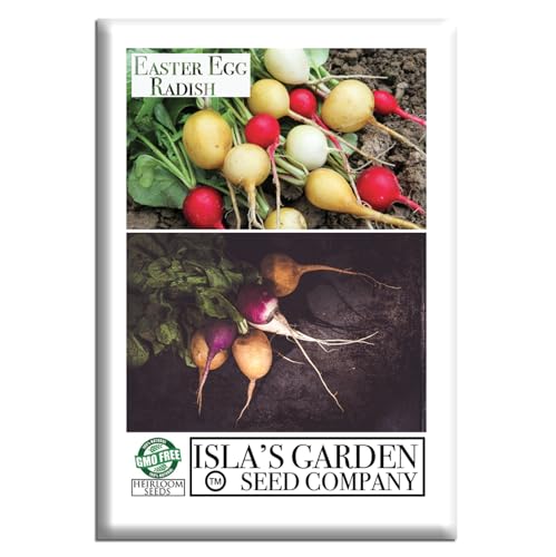 Easter Egg Radish Seeds (Raphanus sativus) – 250+ Non GMO & Heirloom Seeds by Isla’s Garden Seeds, Colorful Fast-Growing Roots for Spring Planting, Crisp Mild Flavors, Ideal Kitchen Garden Gift Idea
