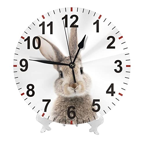 Wall Clock Cute Gray Rabbit 10 Inch Battery Operated Silent Non Ticking Wall Clock Number Quartz Round Wall Clock for Home Office Classroom Bedroom Decor