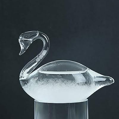 Weather Glass, Storm Glass Weather Forecaster, Swan Shape Bottle Liquid Barometer Weather Forecaster Weather Station for Office Desktop Home Decorative Christmas Birthday Valentines Day Gift