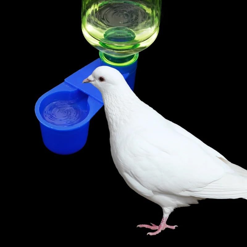 5/10/20Pcs Oiseau Caille Abreuvoir Tasses Bouteille d'eau Tasse Chat Poulet Pigeon Perroquet Hamster Double Buse Guide d'eau for Oiseau